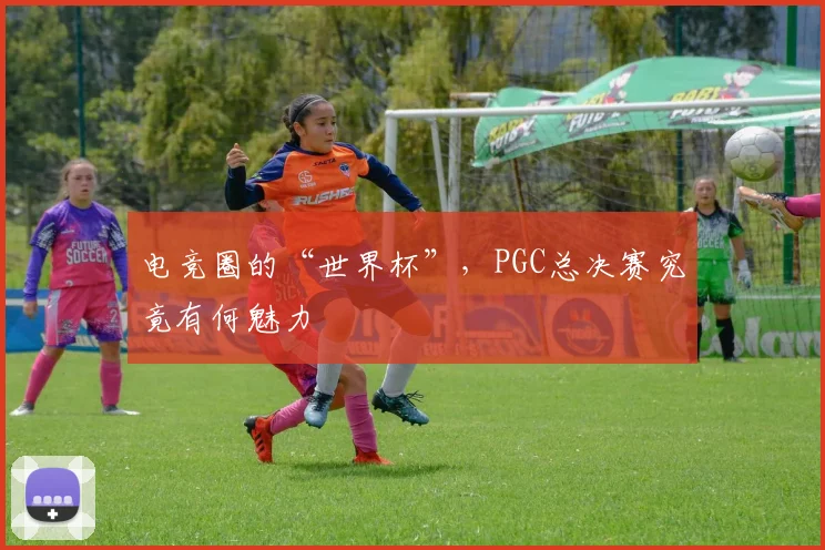 电竞圈的“世界杯”,PGC总决赛究竟有何魅力